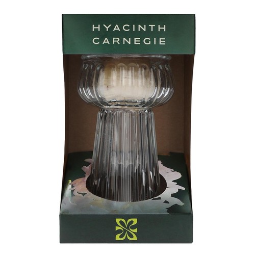 M&S Hyacinth Bulb Vase