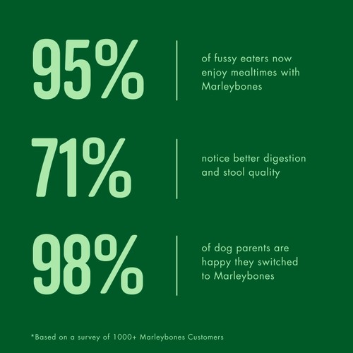 Marleybones Wet Dog Food Variety Pack (Chicken, Beef, Lamb, Salmon)
