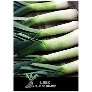 She Grows Veg Leek Bleu de Solaise Seeds