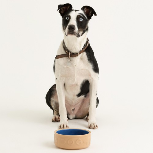 Mason Cash Lettered Cane & Blue Dog Bowl 18cm
