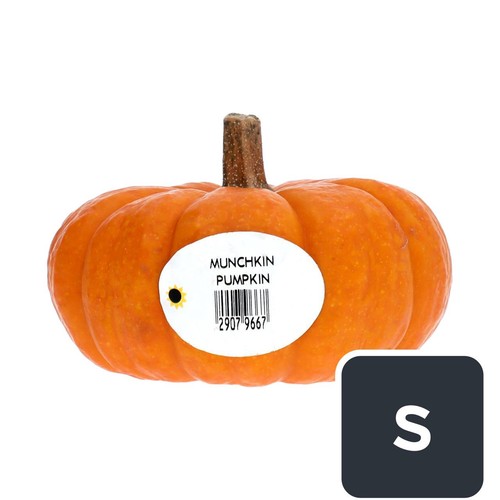M&S Munchkin Pumpkin