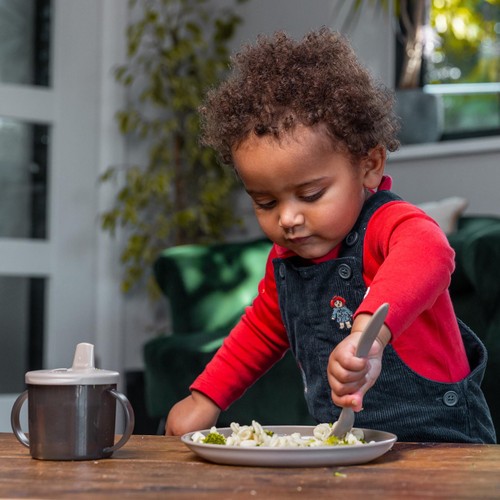 Vital Baby Nourish Perfectly Simple Plates 5pk - natural
