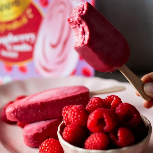 Oppo Refreshed Raspberry Coulis Low Calorie Sorbetto Sticks