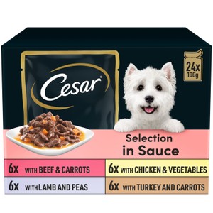 Cesar Deliciously Fresh Dog Food Pouches Favourites in Sauce