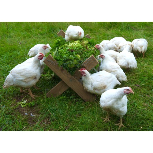 Herb Fed Free Range Chicken