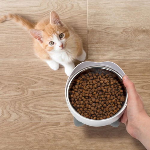 Catit Recipes Dry Kitten Poultry