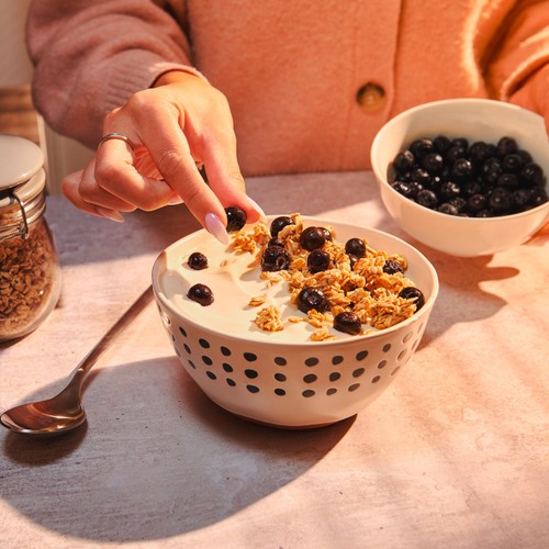 PACK'D Organic & Large Sun-Ripened Blueberries