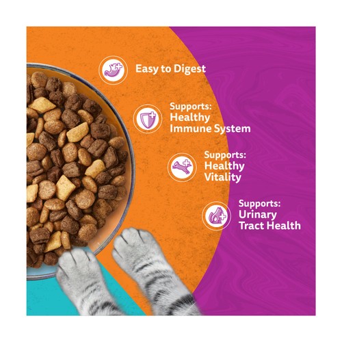 Whiskas 1+ Adult Complete Dry Cat Food Duo Surf & Turf 800g