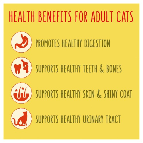 Go-Cat Chicken and Turkey Dry Cat Food