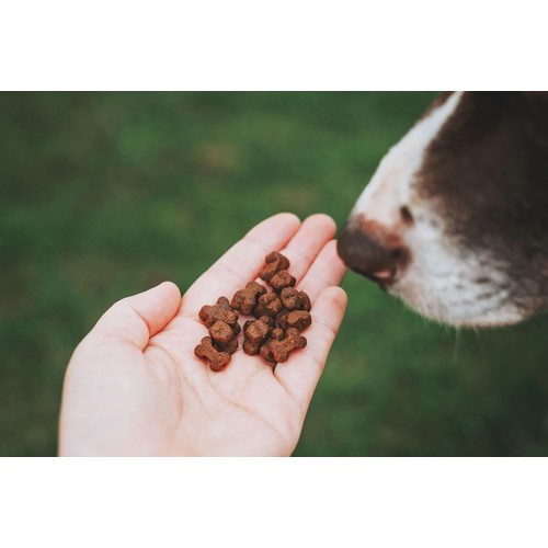 Clydach Farm Grain Free Poultry Dog Treats