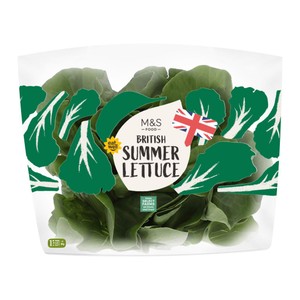 M&S British Round Lettuce