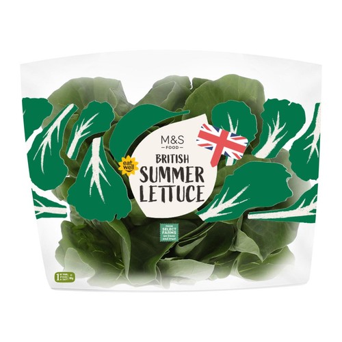 M&S British Summer Lettuce