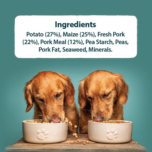 Burns Sensitive Adult Pork & Potato Dry Dog Food