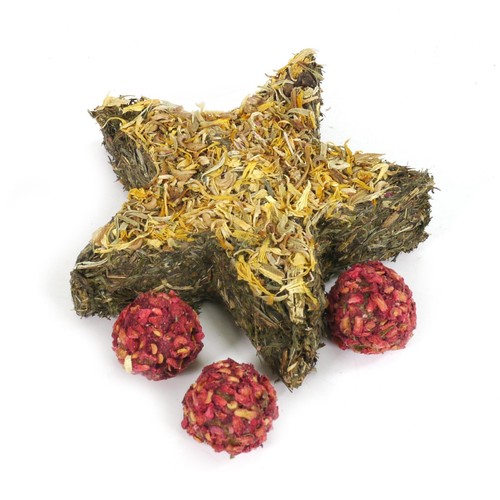 Naturals Star 'N' Truffles Forage Tray