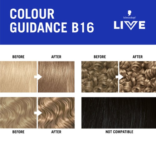LIVE Intense Colour B16 Honey Blonde