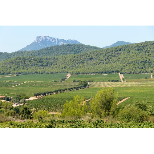 Chateau La Gordonne Rose VDT Cotes de Provence Magnum 