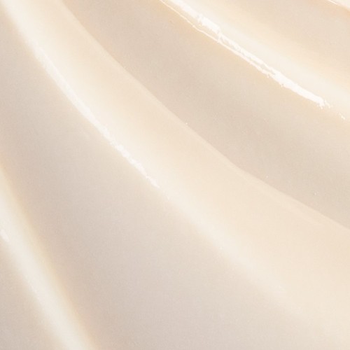 Garnier Ultimate Blends Argan Richness Shampoo
