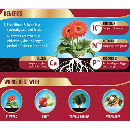 Westland Fish, Blood and Bone All Purpose Plant Food
