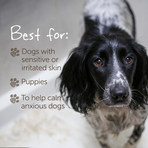 Little Beast Organic Sensitive Dog Shampoo Bar