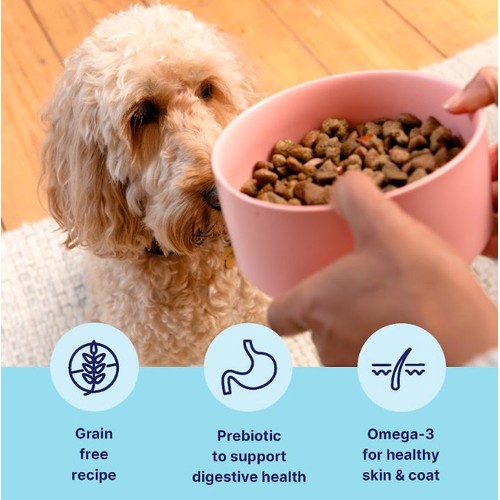 Tails.com Inner Vitality Sensitive Grain Free Adult Dog Dry Food Salmon