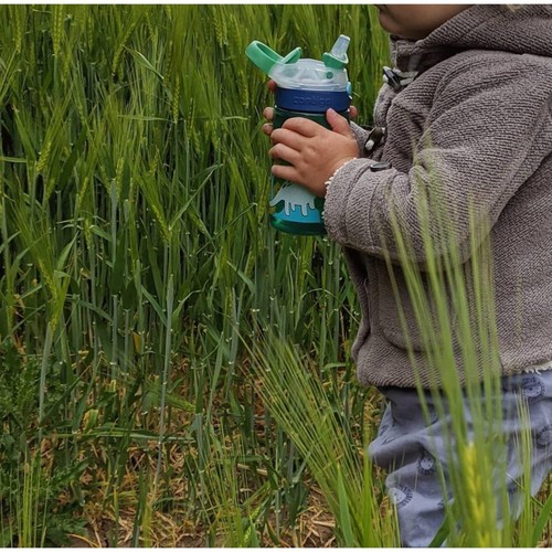 Contigo Gizmo Sip Kids Bottle 420ml Leakproof Straw Dinosaur