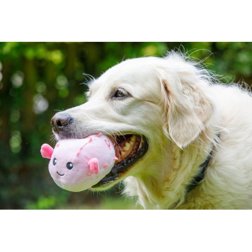 Petface Planet Pippa Puffer Fish Plush Dog Toy