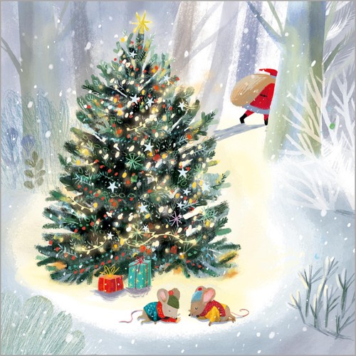 Robins Bumper Box Christmas Card Pack