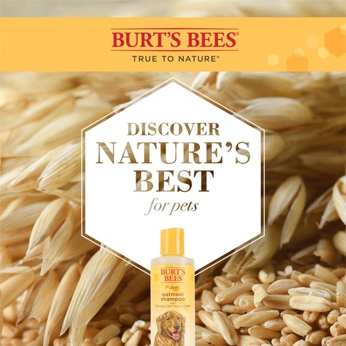 Burt's Bees Oatmeal Shampoo for Dogs