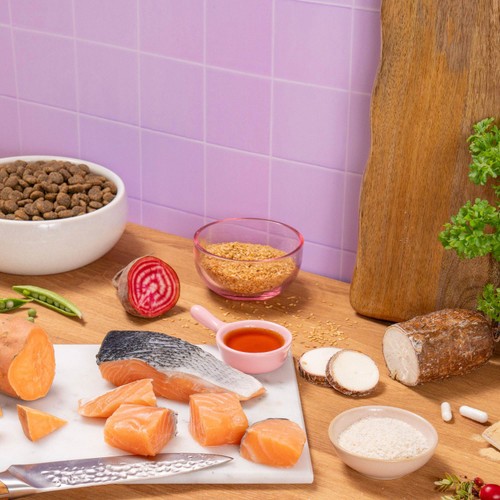 Pooch & Mutt Health & Digestion Complete Dry Dog Food