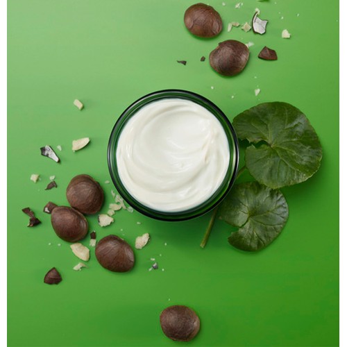 Weleda Skin Food Night Face Cream Moisturiser Natural Derma Tested Vegan
