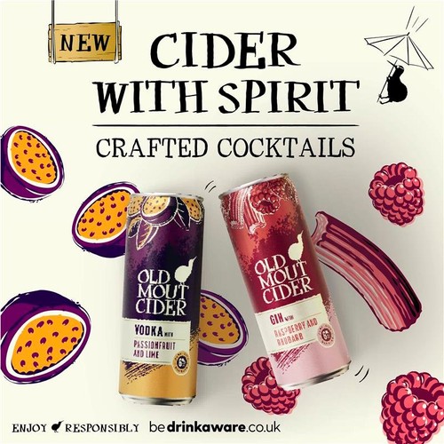 Old Mout Gin Raspberry & Rhubarb Cider Cocktail Can