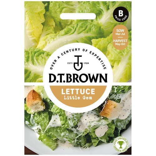 Mr Fothergills Seeds - D.T. Brown Lettuce Little Gem