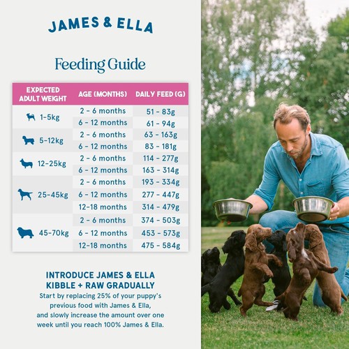 James & Ella Raw+Kibble Puppy Free Range Turkey Dogfood