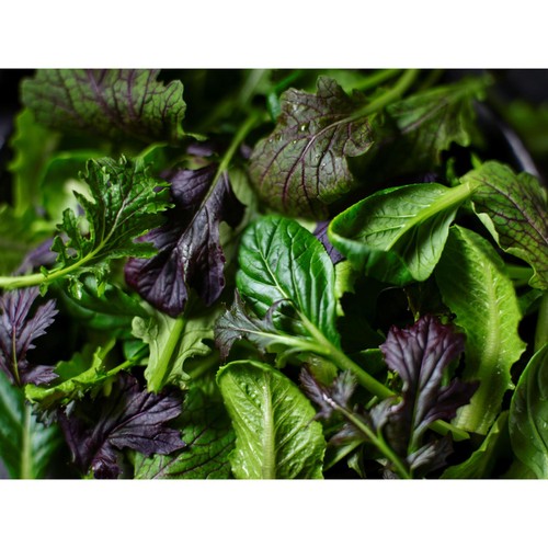 M&S Collection Spicy Baby Leaves