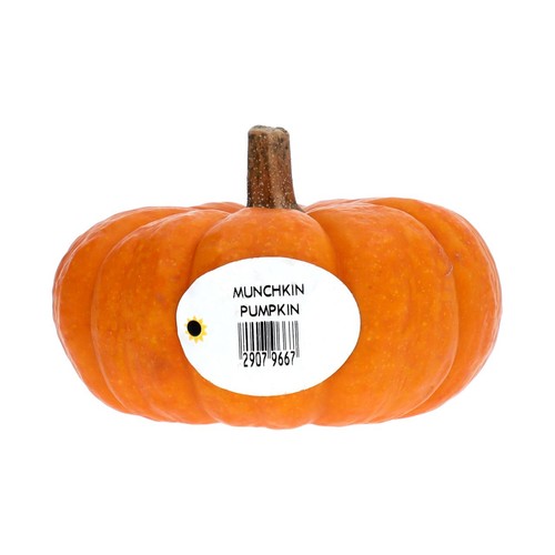 M&S Munchkin Pumpkin