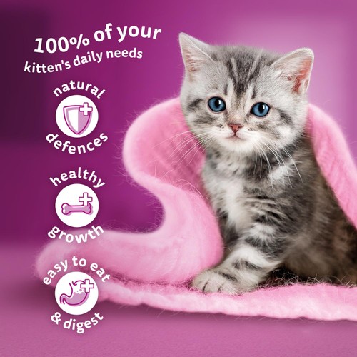 Whiskas Kitten Poultry Feasts Wet Cat Food Pouches in Jelly Ocado
