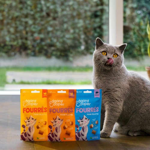 Edgard & Cooper Natural Cat Treat Pillows with Chicken
