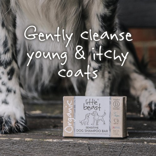 Little Beast Organic Sensitive Dog Shampoo Bar