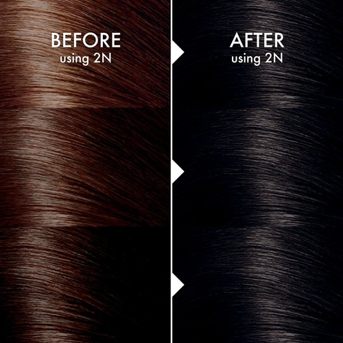 John Frieda Precision Foam Colour Natural Black 2N