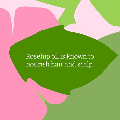 Faith in Nature Wild Rose Conditioner 