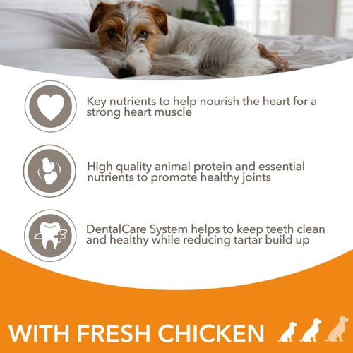 IAMS Advanced Nutrition Senior Dog Food Small/Medium Breed With Chicken