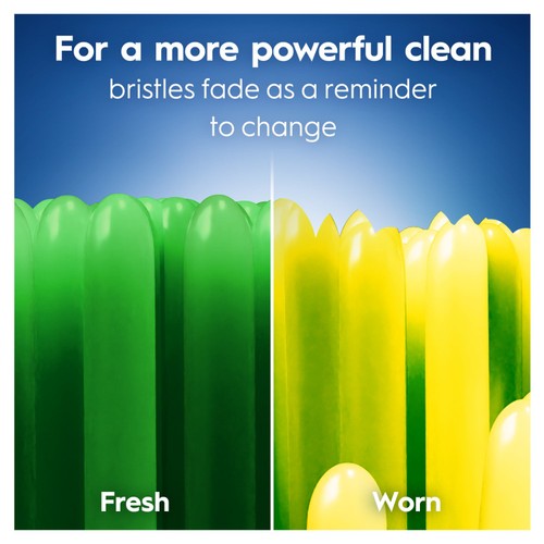 Oral-B Pro Clean Medium Toothbrush