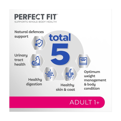 Perfect Fit Cat Dry Adult 1+ Salmon