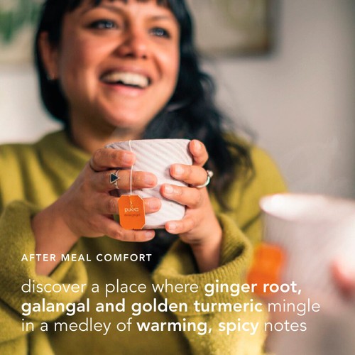 Pukka Organic Three Ginger Tea x20 Home-Compostable Herbal Tea Bags