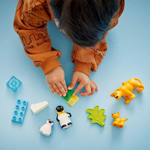 LEGO DUPLO Town Wild Animal Families - Penguins & Lions 10442 2+