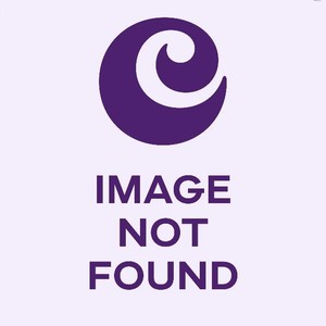 MICHIGAN RIM CEREAL BOWL