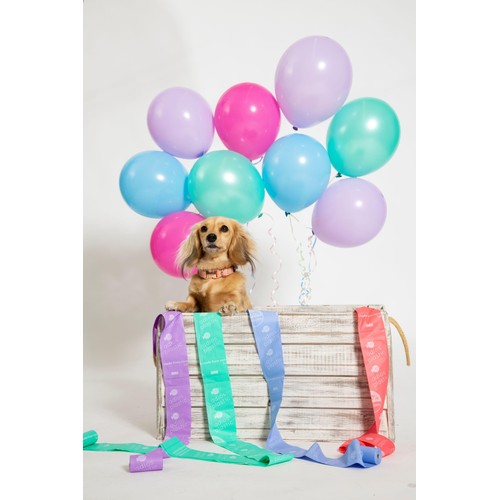 Adios Compostable Dog Poo Bags - Rainbow 