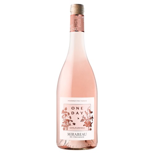 Mirabeau One Day Rose