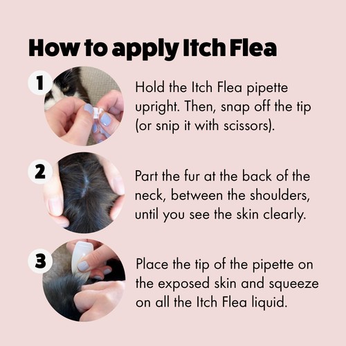Itch Flea & Tick Spot On Treatment For Cats