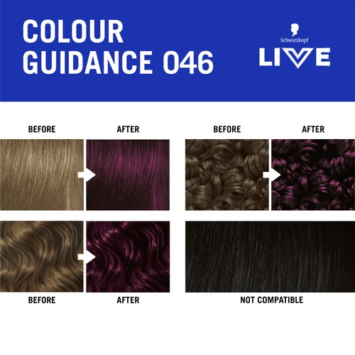LIVE Intense Colour 046 Cyber Purple